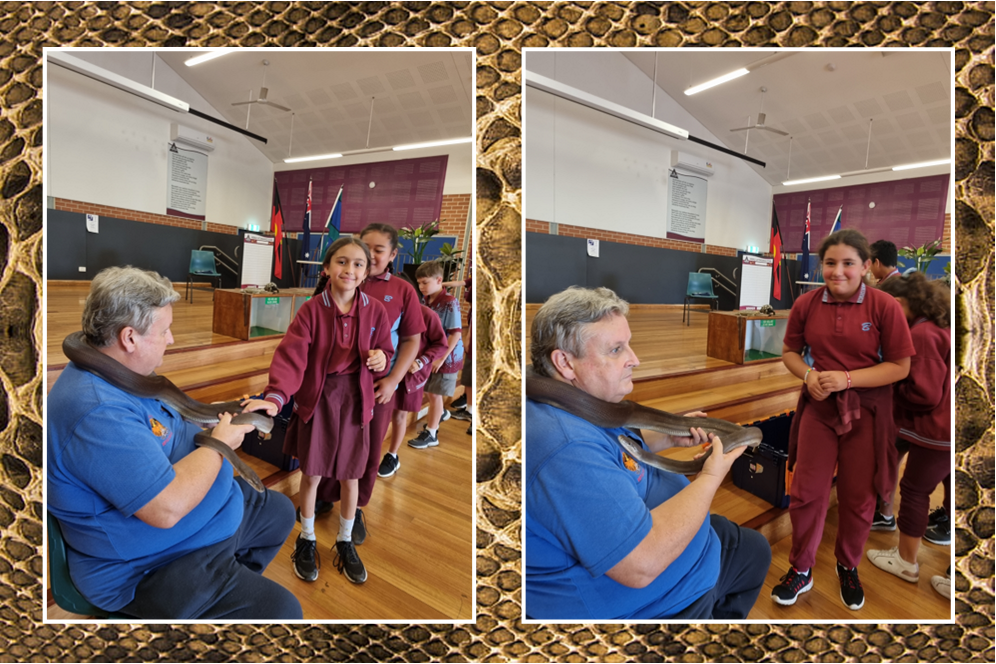 Students standing in line taking turns to touch a snake